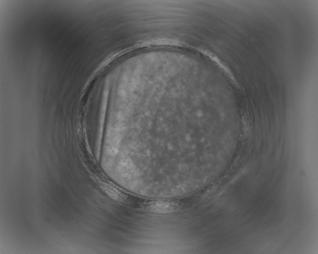X0000082181266200702092300