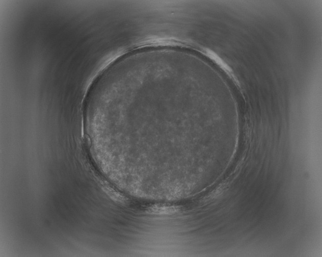 X0000082181269200702092300
