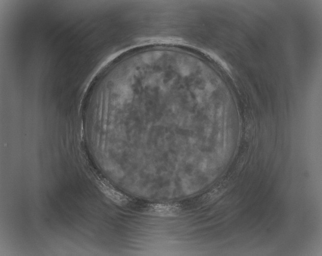 X0000082181271200702092300