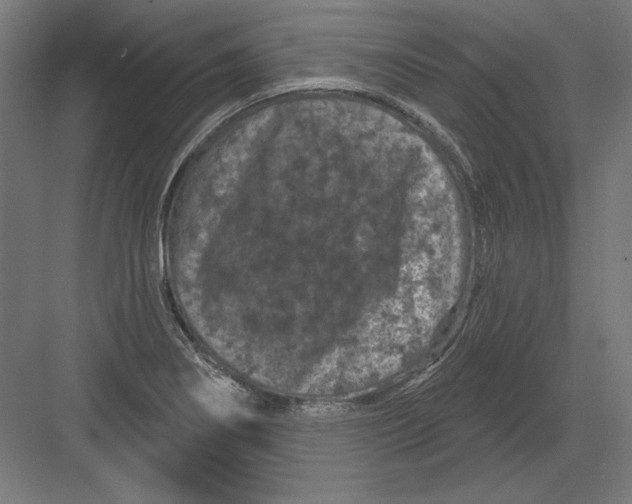 X0000082181274200702092300