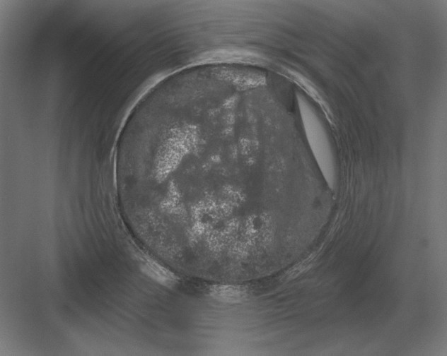 X0000082181275200702092300