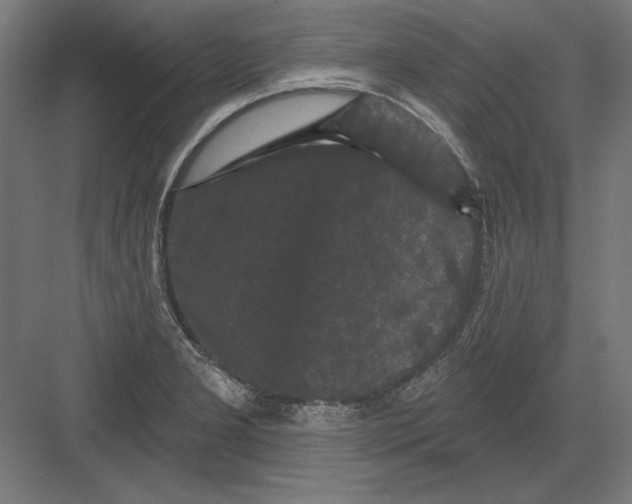 X0000082181277200702092300