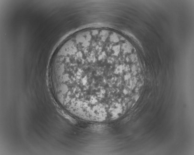 X0000082181278200702092300