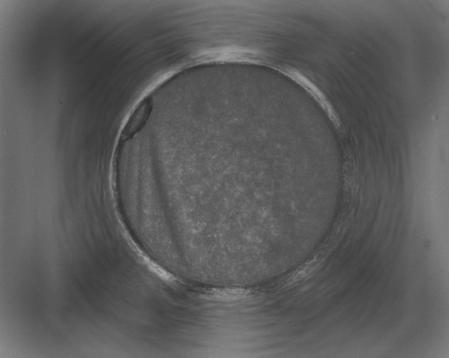X0000082181285200702092300