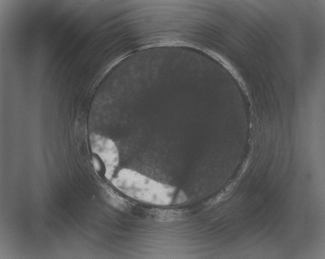 X0000082181289200702092300