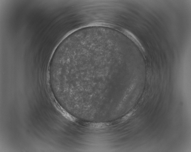 X0000082181292200702092259