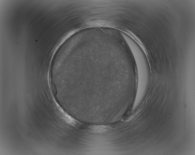 X0000082181293200702092259