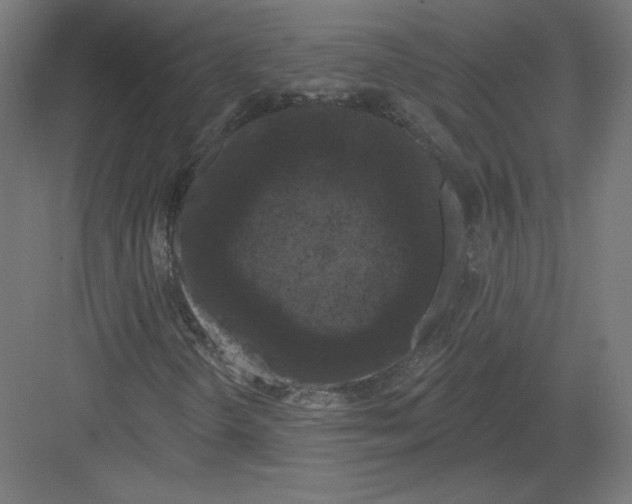 X0000082181298200702092259
