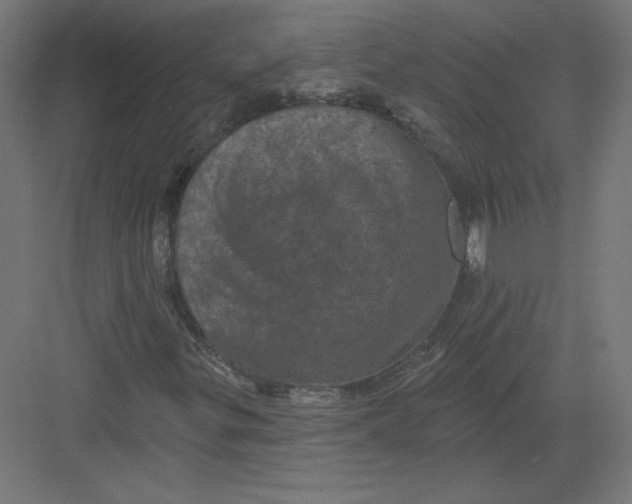 X0000082181299200702092259