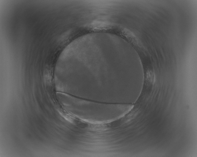 X0000082181300200702092259