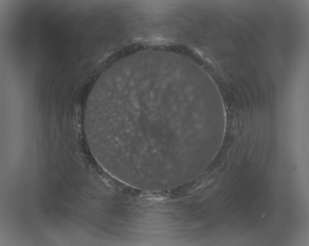 X0000082181301200702092259