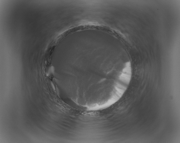 X0000082181303200702092259