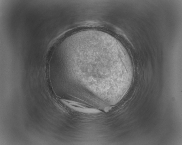 X0000082181304200702092259