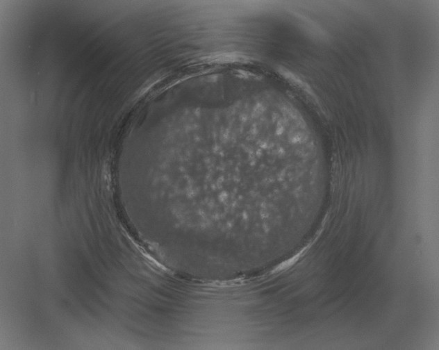 X0000082181305200702092259