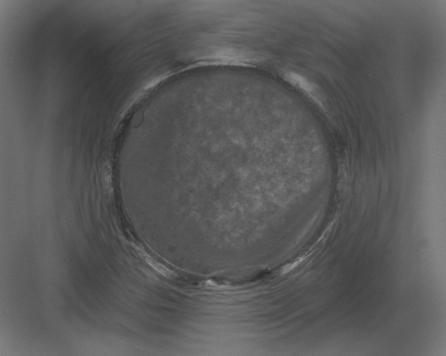 X0000082181307200702092259