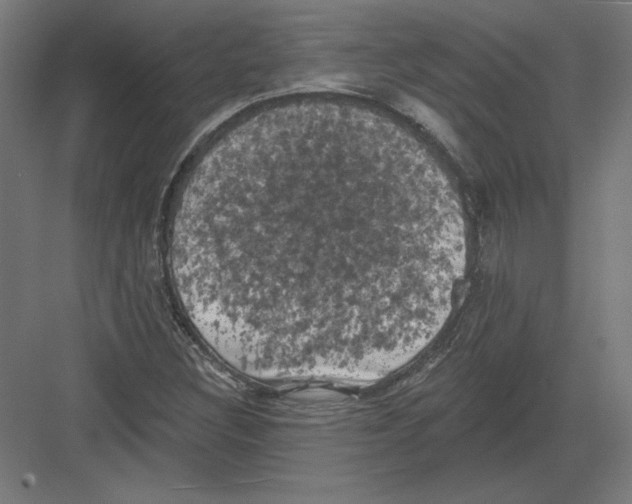 X0000082181308200702092259