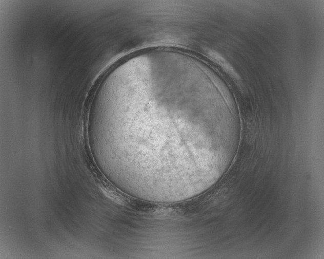 X0000082181316200702092259
