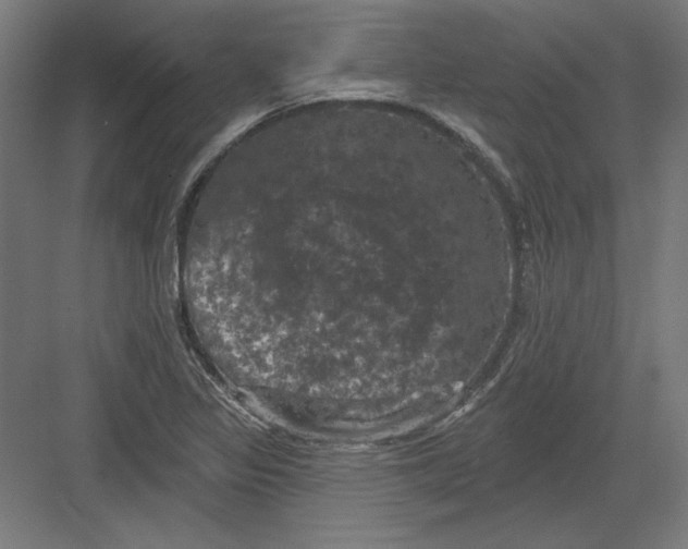X0000082181317200702092259