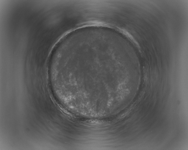 X0000082181318200702092259