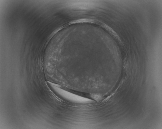 X0000082181321200702092259