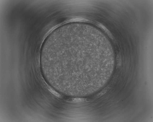 X0000082181322200702092259