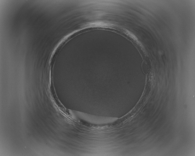 X0000082181323200702092259