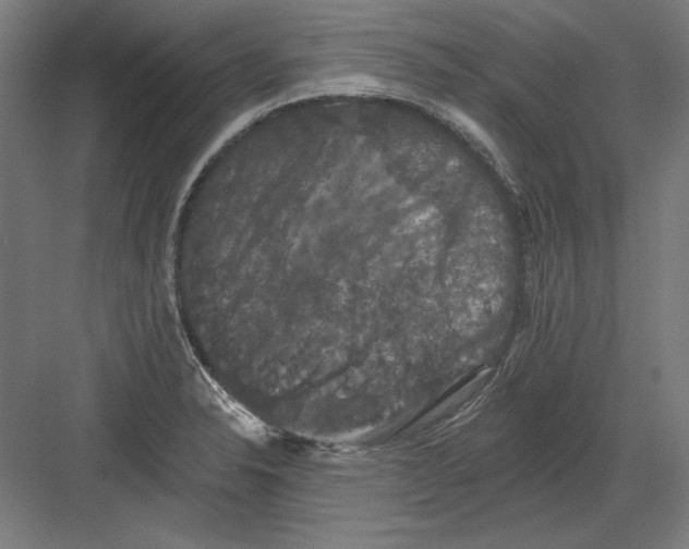 X0000082181326200702092259