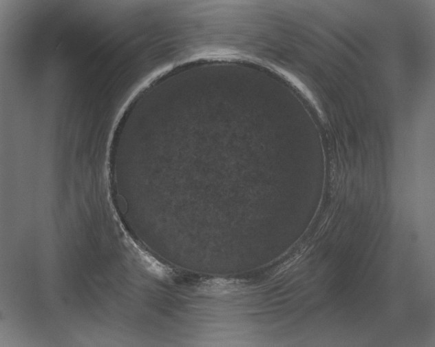 X0000082181327200702092259