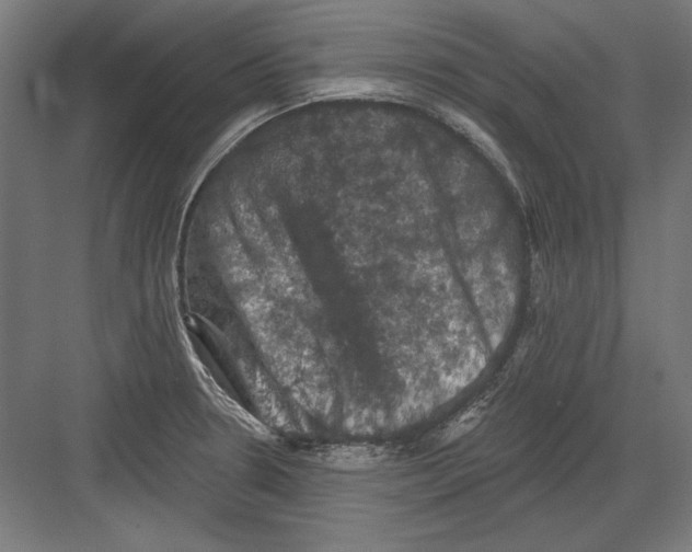 X0000082181330200702092259