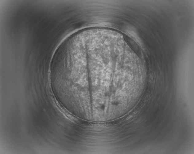 X0000082181332200702092259