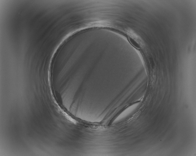 X0000082181334200702092259
