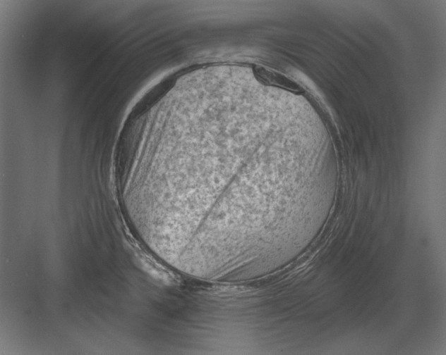 X0000082181336200702092259