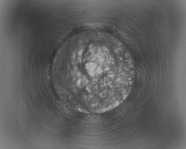 X0000082181346200702092259