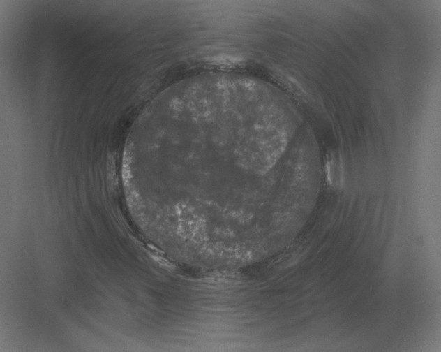 X0000082181347200702092259