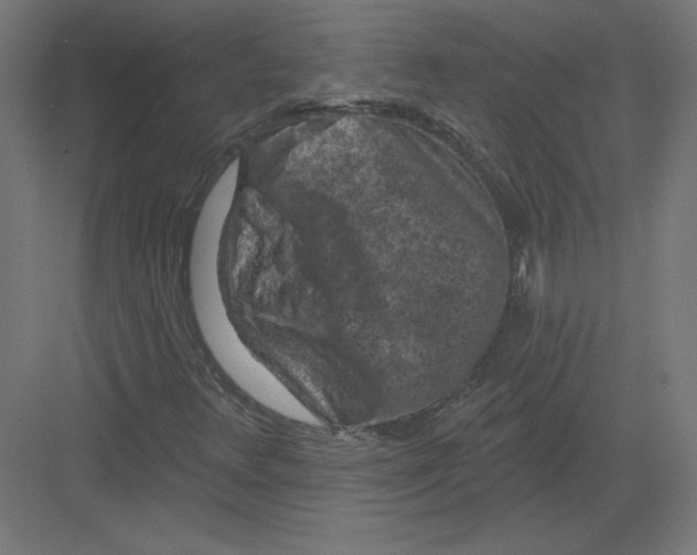 X0000082181348200702092259