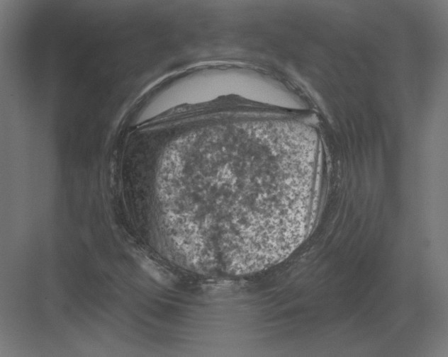 X0000082181352200702092258