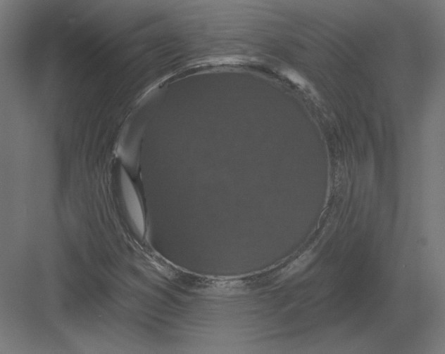 X0000082181353200702092258