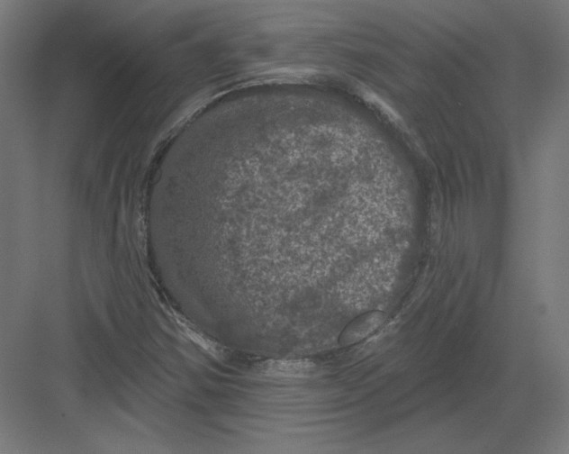 X0000082181354200702092258