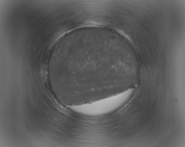X0000082181355200702092258