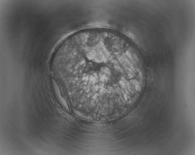 X0000082181358200702092258