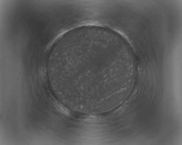 X0000082181359200702092258