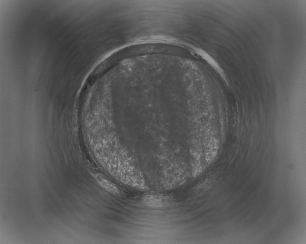 X0000082181364200702092258