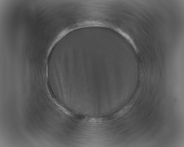 X0000082181365200702092258