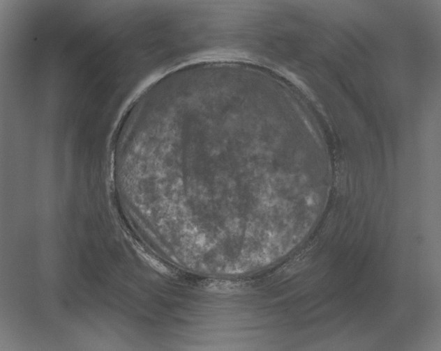 X0000082181366200702092258