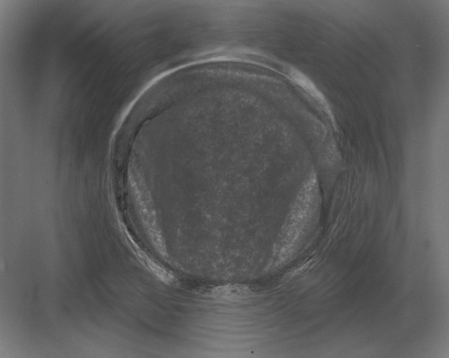 X0000082181368200702092258