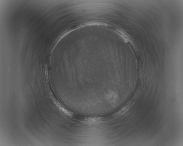 X0000082181369200702092258