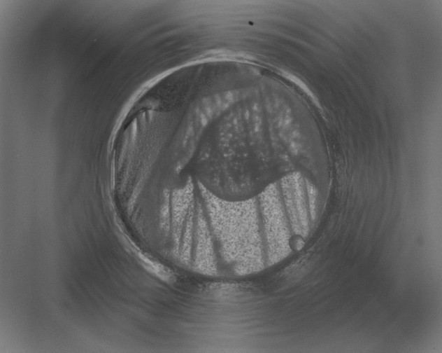 X0000082181371200702092258