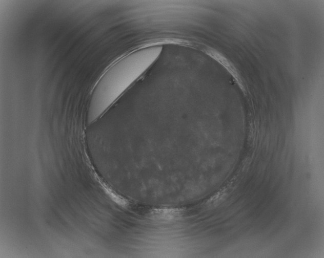 X0000082181377200702092258