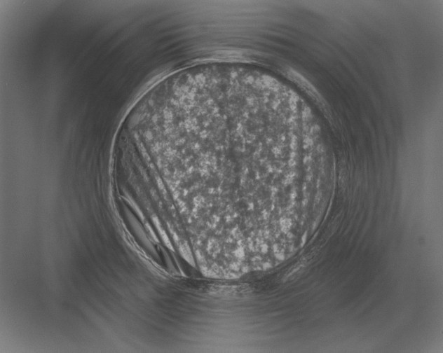 X0000082181378200702092258