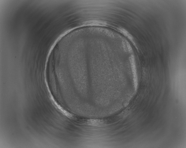 X0000082181379200702092258